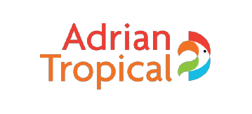 Imagen de la diapositiva